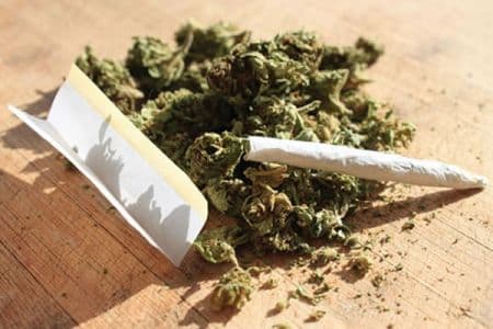 Bamenda : 200 kg de cannabis saisis, un chef d'agence arrêté