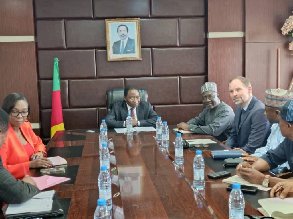 Dasin Hausa : Cameroun et Nigeria renforcent leur partenariat énergétique